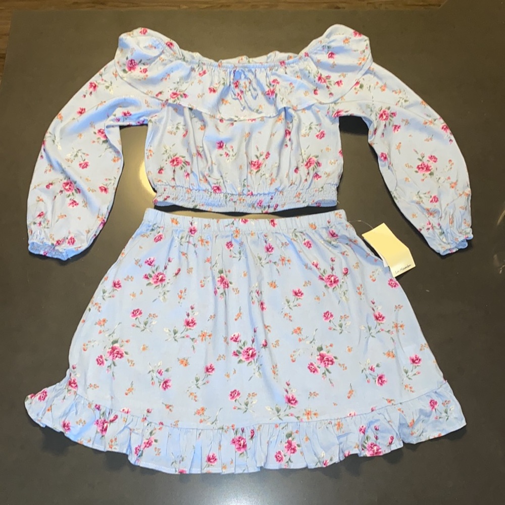 NWT 2 piece set top & skirt in Dusty Blue